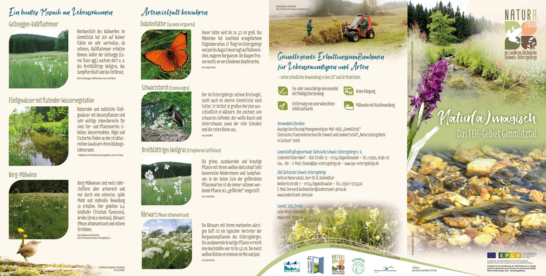 tl_files/downloads/Bilder Projekte/Projektstellen/Natura 2000 1.0/Flyer/Gimmlitztal_1.jpg